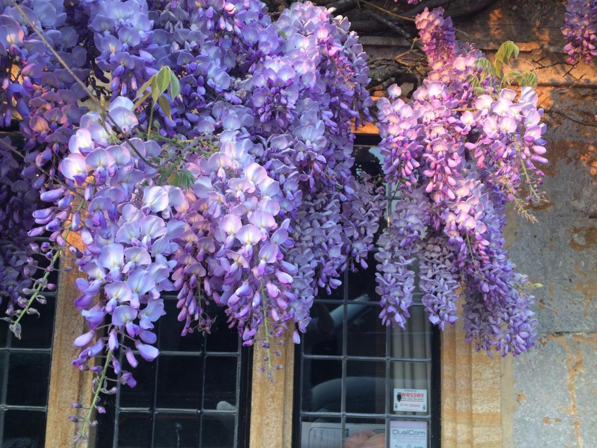 The Grange Bed & Breakfast North Cadbury Luaran gambar